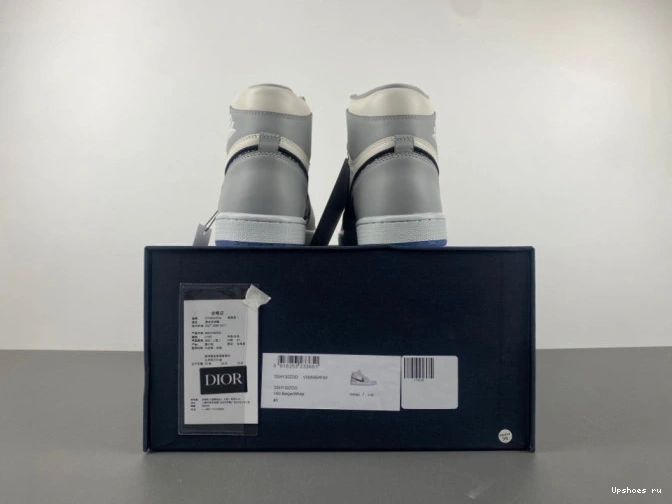 x High Air   Jordan 1 Dior CN8607-002 0513